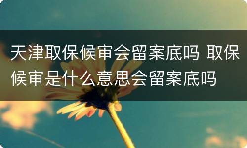 天津取保候审会留案底吗 取保候审是什么意思会留案底吗