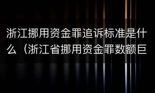 浙江挪用资金罪追诉标准是什么（浙江省挪用资金罪数额巨大）