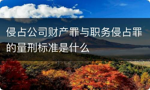 侵占公司财产罪与职务侵占罪的量刑标准是什么