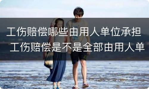 工伤赔偿哪些由用人单位承担 工伤赔偿是不是全部由用人单位赔偿