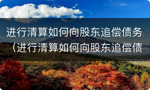 进行清算如何向股东追偿债务（进行清算如何向股东追偿债务款项）