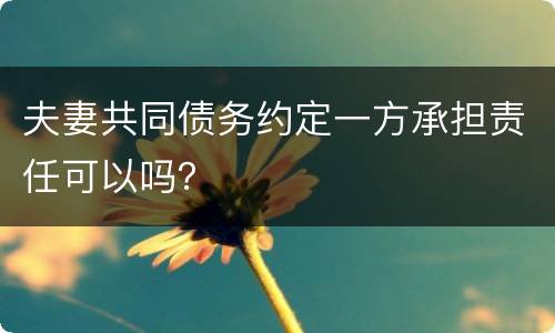 夫妻共同债务约定一方承担责任可以吗？