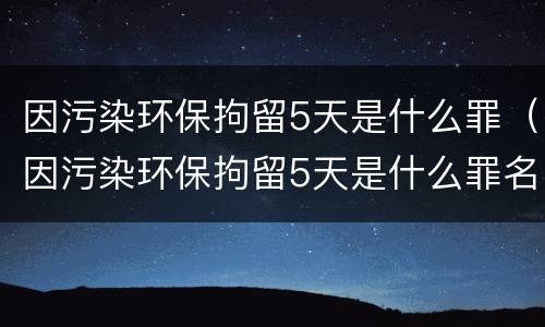 因污染环保拘留5天是什么罪（因污染环保拘留5天是什么罪名）