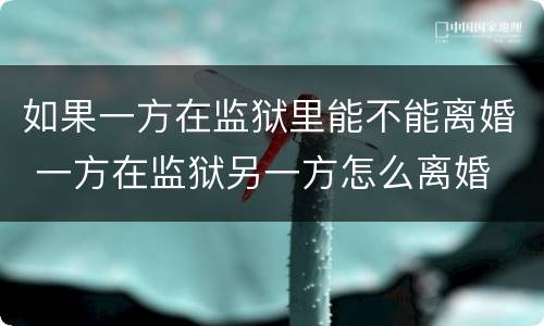 如果一方在监狱里能不能离婚 一方在监狱另一方怎么离婚