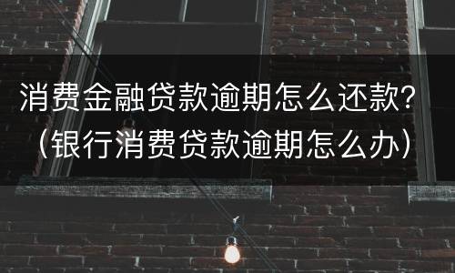 消费金融贷款逾期怎么还款？（银行消费贷款逾期怎么办）