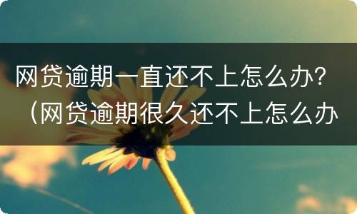 网贷逾期一直还不上怎么办？（网贷逾期很久还不上怎么办）