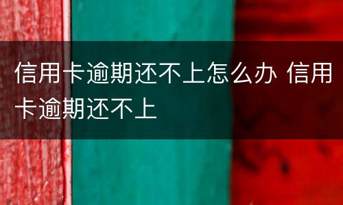 信用卡逾期还不上怎么办 信用卡逾期还不上
