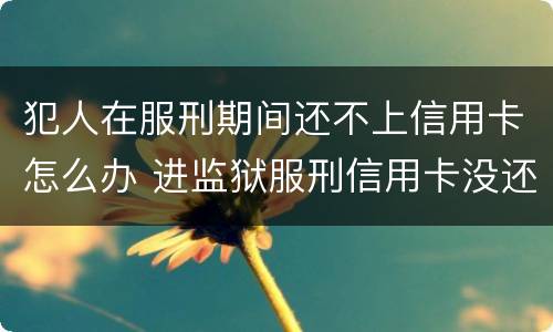 犯人在服刑期间还不上信用卡怎么办 进监狱服刑信用卡没还怎么办