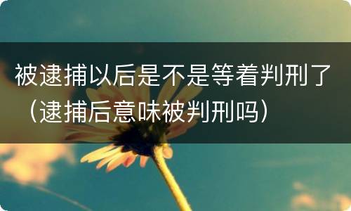 被逮捕以后是不是等着判刑了（逮捕后意味被判刑吗）