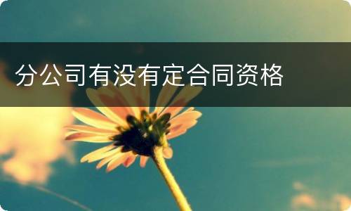 分公司有没有定合同资格