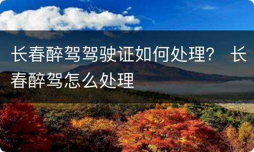 长春醉驾驾驶证如何处理？ 长春醉驾怎么处理
