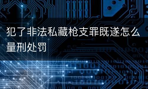 犯了非法私藏枪支罪既遂怎么量刑处罚