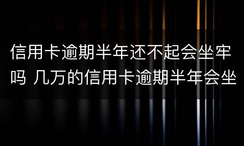 信用卡逾期半年还不起会坐牢吗 几万的信用卡逾期半年会坐牢吗?