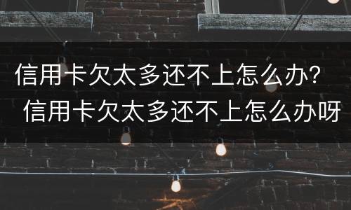信用卡欠太多还不上怎么办？ 信用卡欠太多还不上怎么办呀