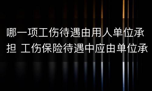 哪一项工伤待遇由用人单位承担 工伤保险待遇中应由单位承担的部分