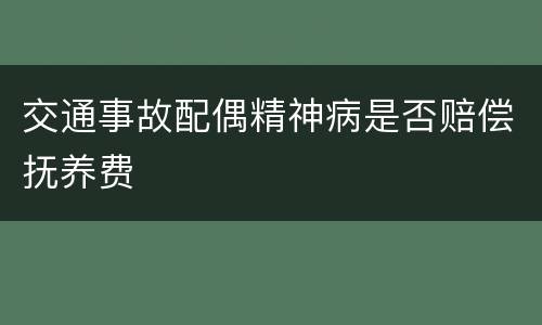 交通事故配偶精神病是否赔偿抚养费