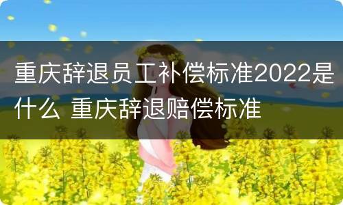 重庆辞退员工补偿标准2022是什么 重庆辞退赔偿标准