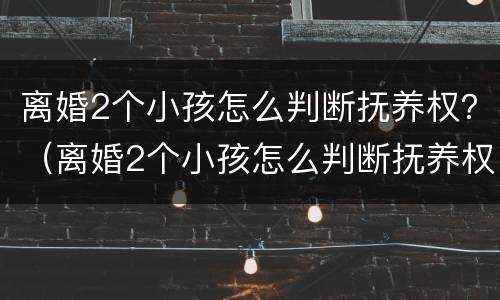 离婚2个小孩怎么判断抚养权？（离婚2个小孩怎么判断抚养权归谁）