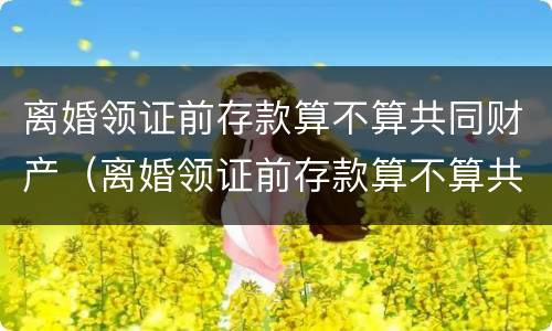 离婚领证前存款算不算共同财产（离婚领证前存款算不算共同财产呢）