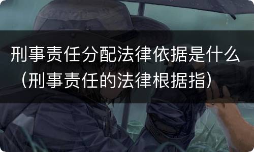 刑事责任分配法律依据是什么（刑事责任的法律根据指）