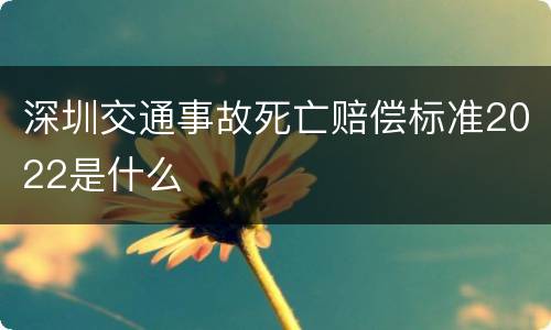 深圳交通事故死亡赔偿标准2022是什么
