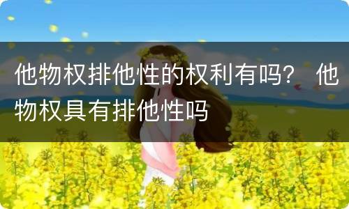 他物权排他性的权利有吗？ 他物权具有排他性吗