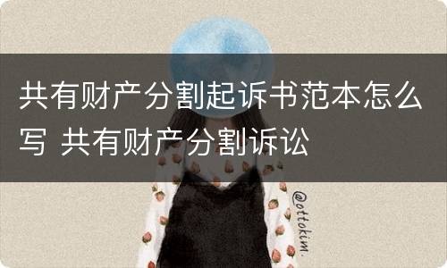 共有财产分割起诉书范本怎么写 共有财产分割诉讼