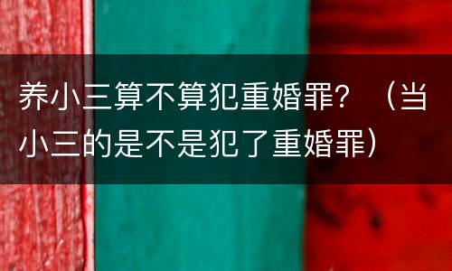 养小三算不算犯重婚罪？（当小三的是不是犯了重婚罪）