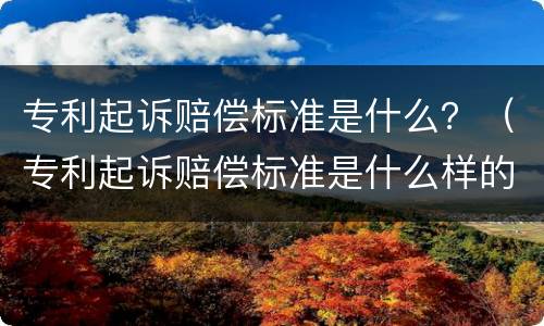 专利起诉赔偿标准是什么？（专利起诉赔偿标准是什么样的）