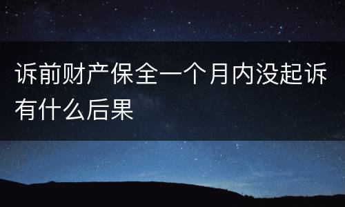 诉前财产保全一个月内没起诉有什么后果