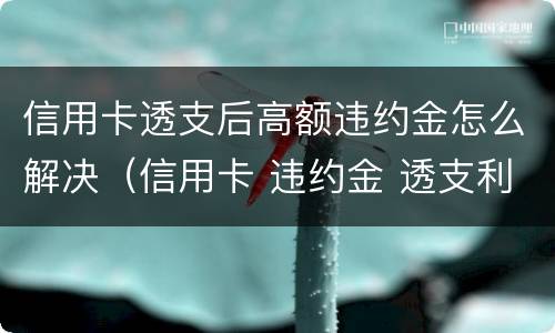 信用卡透支后高额违约金怎么解决（信用卡 违约金 透支利息）