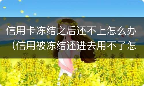 信用卡冻结之后还不上怎么办（信用被冻结还进去用不了怎么办）