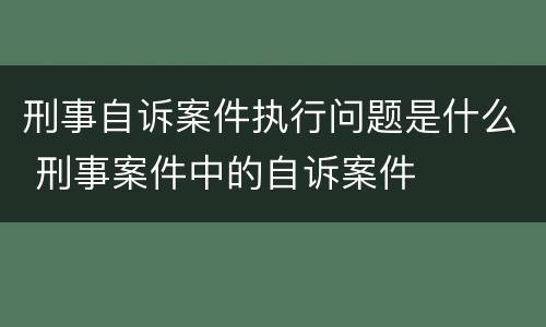 刑事自诉案件执行问题是什么 刑事案件中的自诉案件