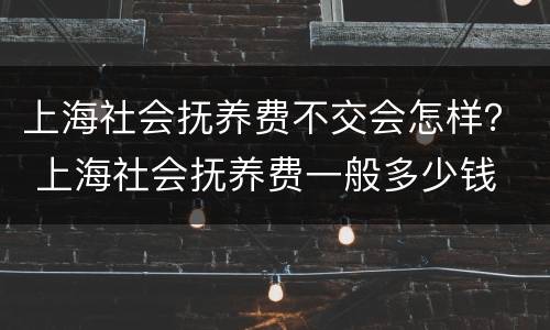 上海社会抚养费不交会怎样？ 上海社会抚养费一般多少钱