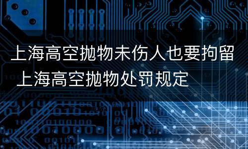 上海高空抛物未伤人也要拘留 上海高空抛物处罚规定