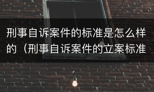 刑事自诉案件的标准是怎么样的（刑事自诉案件的立案标准）