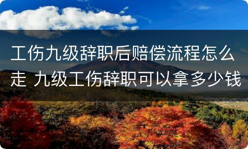 工伤九级辞职后赔偿流程怎么走 九级工伤辞职可以拿多少钱
