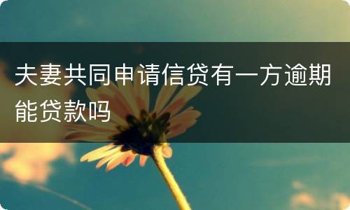 夫妻共同申请信贷有一方逾期能贷款吗