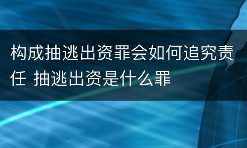 构成抽逃出资罪会如何追究责任 抽逃出资是什么罪