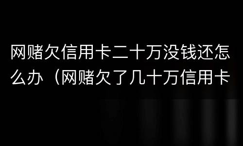 网赌欠信用卡二十万没钱还怎么办（网赌欠了几十万信用卡）