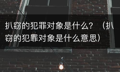 扒窃的犯罪对象是什么？（扒窃的犯罪对象是什么意思）