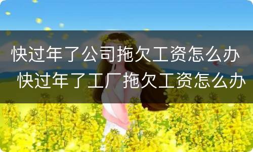 快过年了公司拖欠工资怎么办 快过年了工厂拖欠工资怎么办
