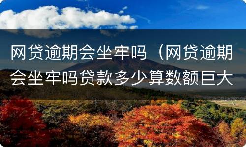 网贷逾期会坐牢吗（网贷逾期会坐牢吗贷款多少算数额巨大）