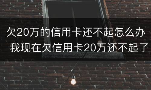 欠20万的信用卡还不起怎么办 我现在欠信用卡20万还不起了怎么办