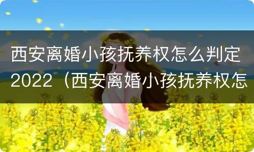 西安离婚小孩抚养权怎么判定2022（西安离婚小孩抚养权怎么判定2022年的）
