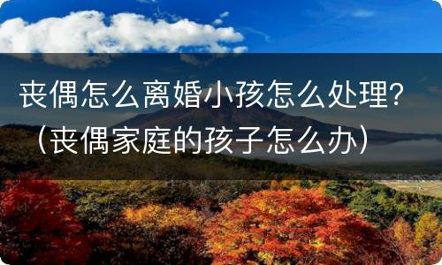 丧偶怎么离婚小孩怎么处理？（丧偶家庭的孩子怎么办）