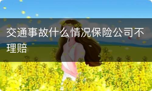 交通事故什么情况保险公司不理赔