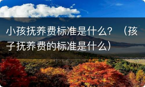 小孩抚养费标准是什么？（孩子抚养费的标准是什么）