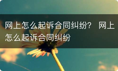 网上怎么起诉合同纠纷？ 网上怎么起诉合同纠纷