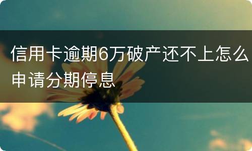 信用卡逾期6万破产还不上怎么申请分期停息